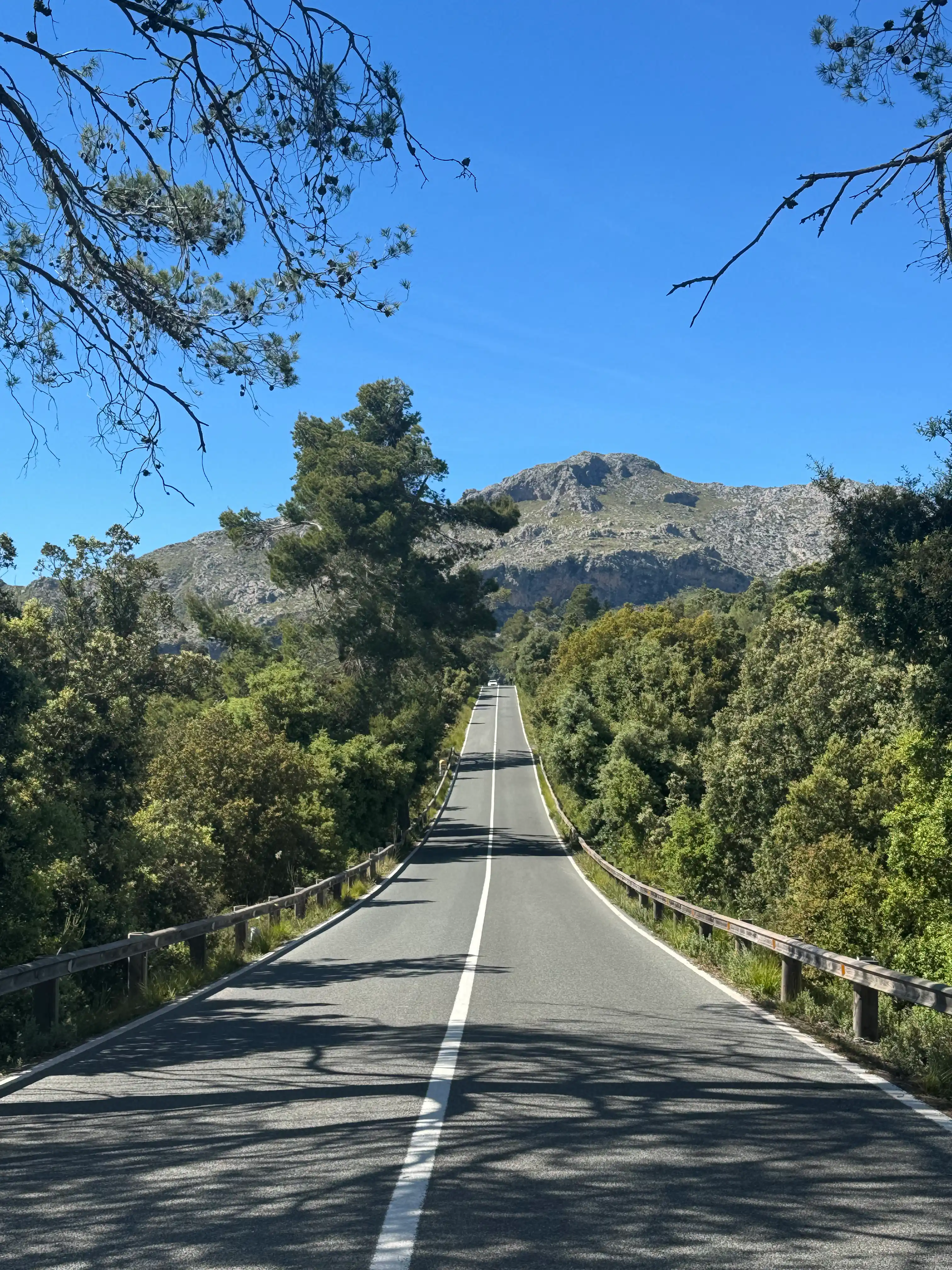 Road through Mallorca landscape